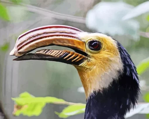 Sulawesi Hornbill Diamond Painting