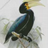 Sulu Hornbill Diamond Painting