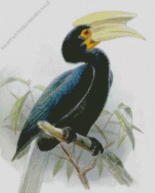 Sulu Hornbill Diamond Painting