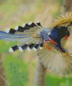 Taiwan Blue Magpie Flying Diamond Painting