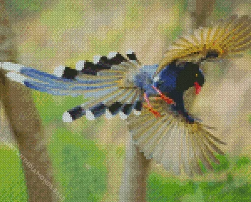 Taiwan Blue Magpie Flying Diamond Painting