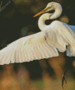 The Great Egret Bird Diamond Painting