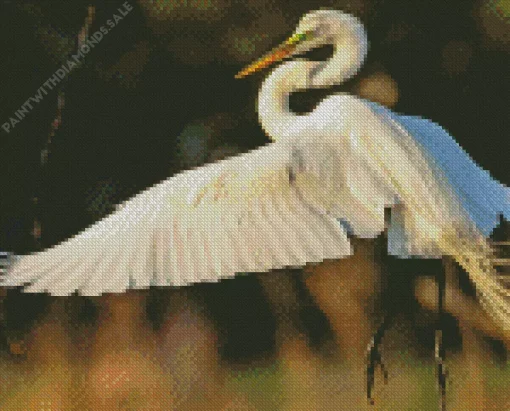 The Great Egret Bird Diamond Painting