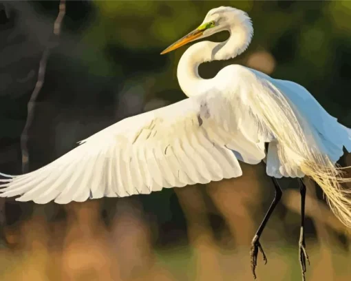 The Great Egret Bird Diamond Painting