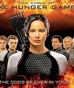 The Hunger Games Poster Art Diamond Painting