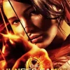 The Hunger Games Poster Art Diamond Painting