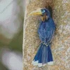 Tickells Brown Hornbill Diamond Painting