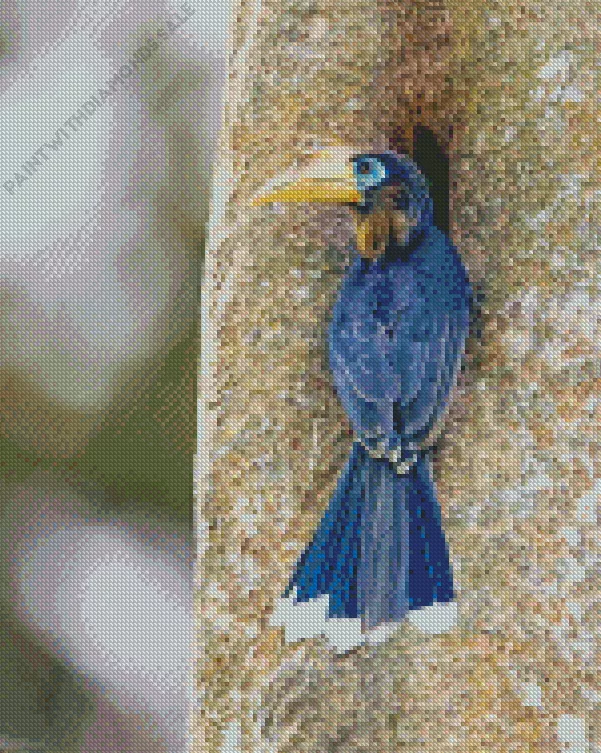 Tickells brown hornbill Diamond Dotz Tickells Brown Hornbill Diamond Painting