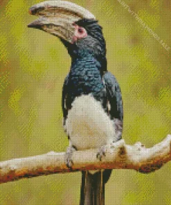 Trumpeter Hornbill Diamond Painting