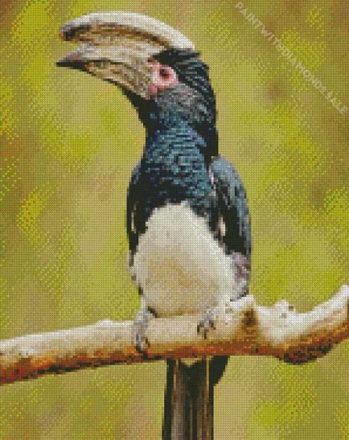 Trumpeter Hornbill Diamond Painting