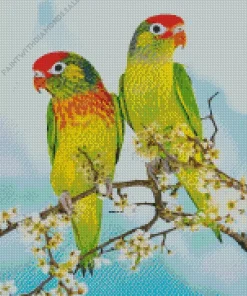 Varied Lorikeet Birds Diamond Painting