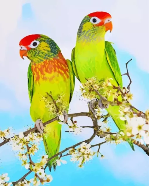 Varied Lorikeet Birds Diamond Painting