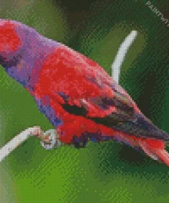 Violet Necked Lory Art Diamond Painting