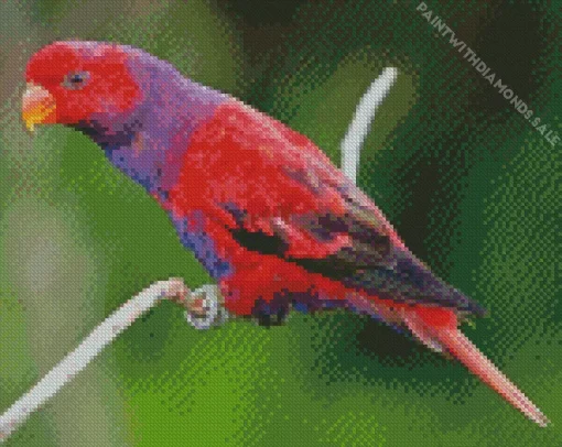 Violet Necked Lory Art Diamond Painting