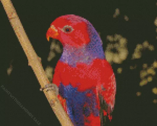 Violet Necked Lory Diamond Painting