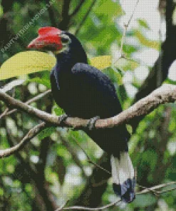 Waldens Hornbill Diamond Painting