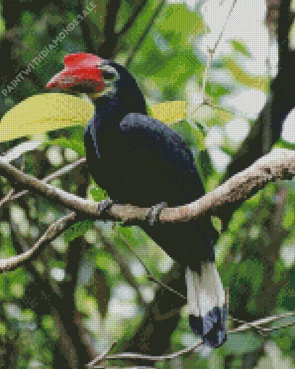 Waldens hornbill Diamond Dotz Waldens Hornbill Diamond Painting