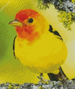 Western Tanager Art Diamond Painting