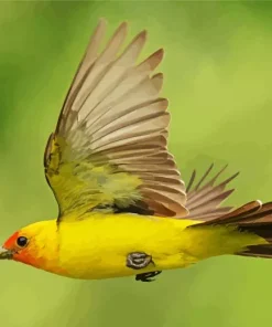 Western Tanager Flying Diamond Painting