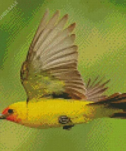 Western Tanager Flying Diamond Painting