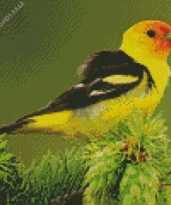 Western Tanager On A Tree Diamond Painting