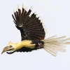 White Crowned Hornbill Diamond Painting