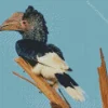 White Thighed Hornbill Diamond Painting