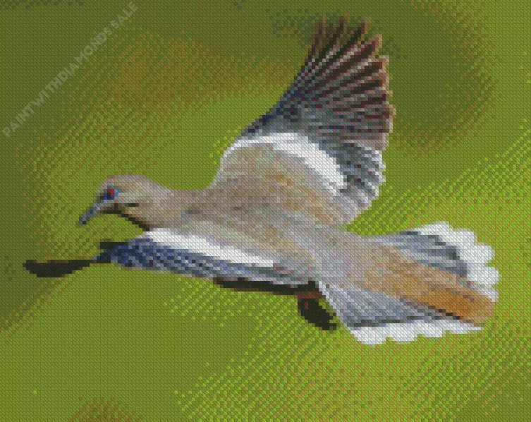 White winged dove Diamond Dotz White Winged Dove Diamond Painting