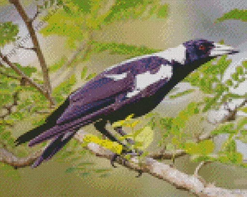 White Winged Magpie Diamond Painting