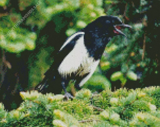 White Winged Magpie Bird Diamond Painting