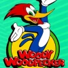 Woody Woodpecker Cartoon Art Diamond Painting