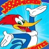 Woody Woodpecker Cartoon Poster Diamond Painting