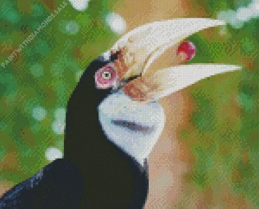 Wreathed Hornbill Diamond Painting