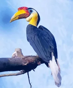 Wrinkled Hornbill Diamond Painting