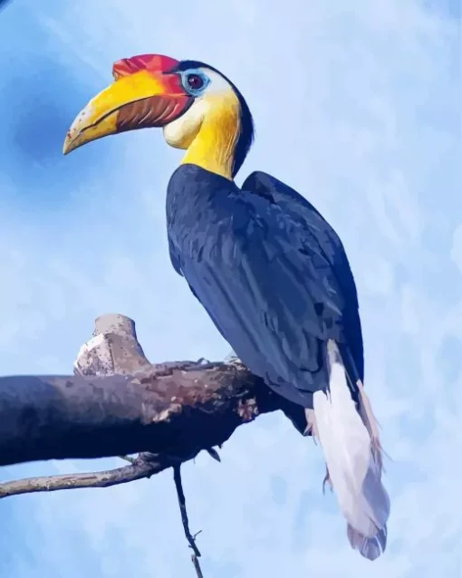 Wrinkled Hornbill Diamond Painting