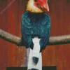 Writhed Hornbill Diamond Painting