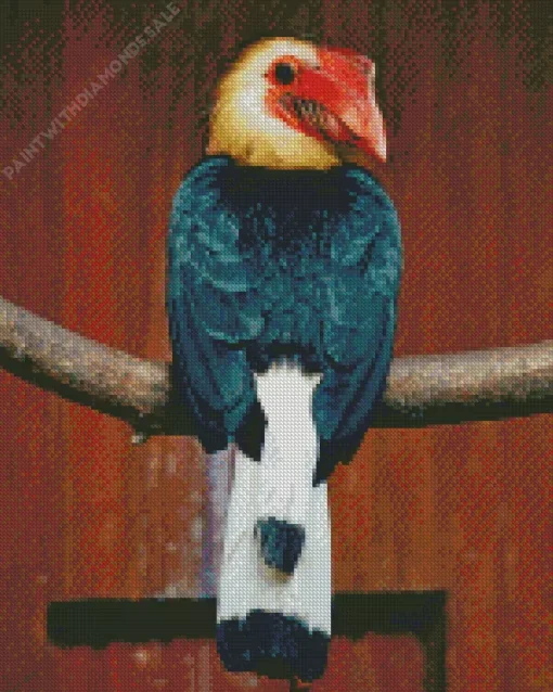 Writhed Hornbill Diamond Painting