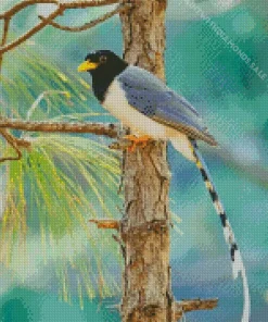 Yellow Billed Blue Magpie Diamond Painting