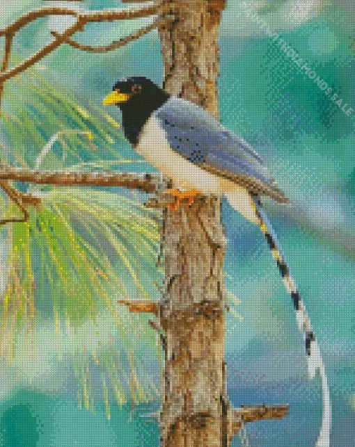 Yellow Billed Blue Magpie Diamond Painting