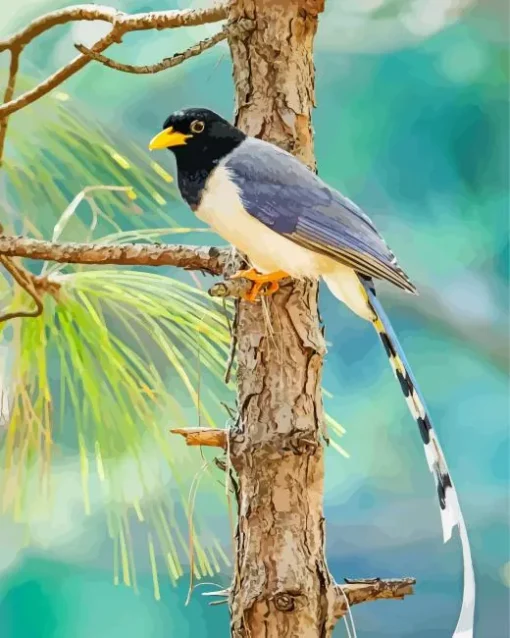 Yellow Billed Blue Magpie Diamond Painting