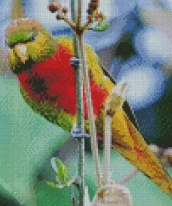 Yellow Billed Lorikeet Diamond Painting