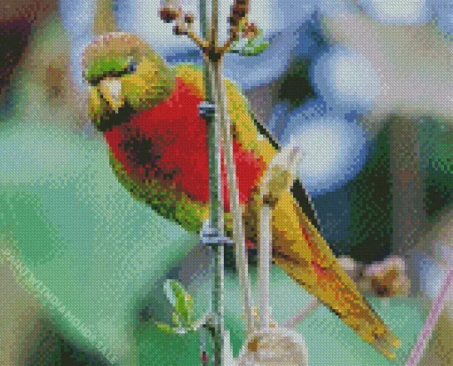 Yellow Billed Lorikeet Diamond Painting