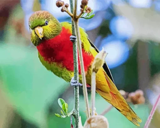 Yellow Billed Lorikeet Diamond Painting