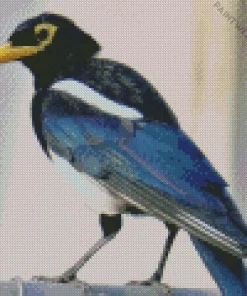 Yellow Billed Magpie Bird Diamond Painting