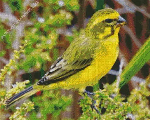 Yellow Canary Art Diamond Painting