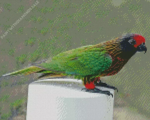 Yellow Streaked Lory Diamond Painting