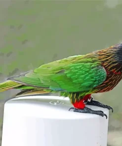 Yellow Streaked Lory Diamond Painting