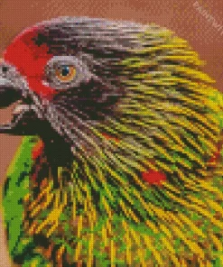 Yellow Streaked Lory Head Diamond Painting