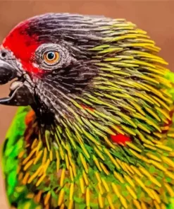 Yellow Streaked Lory Head Diamond Painting