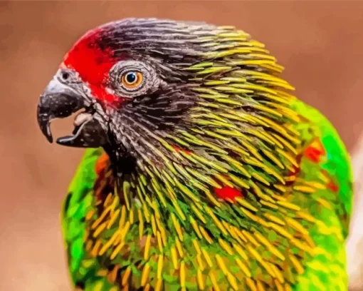 Yellow Streaked Lory Head Diamond Painting